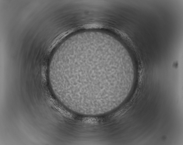 X0000115311217200911301528