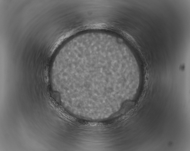 X0000115311218200911301528