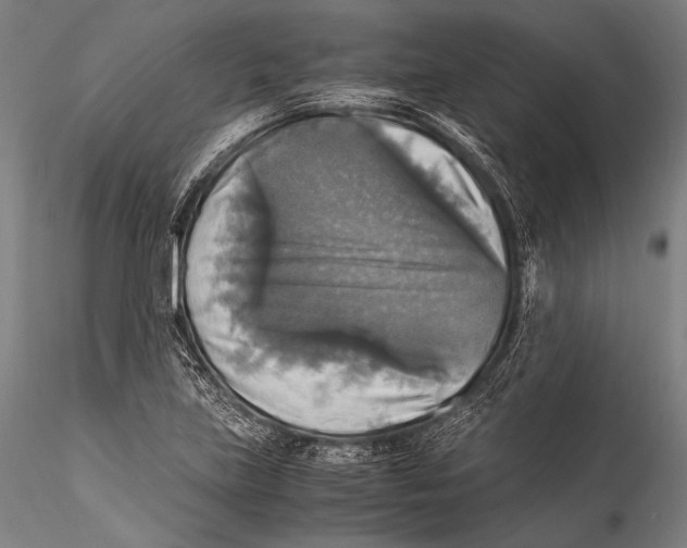 X0000115311219200911301528