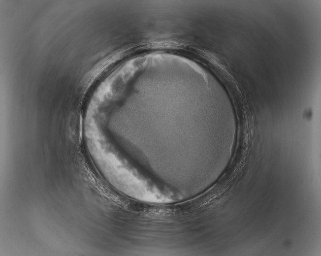 X0000115311221200911301528