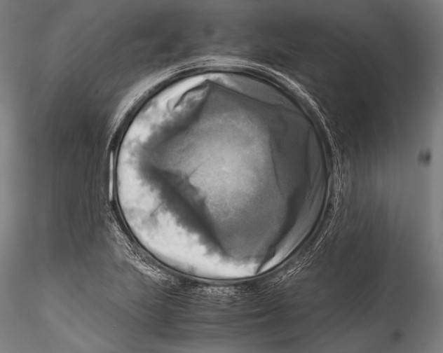 X0000115311223200911301528