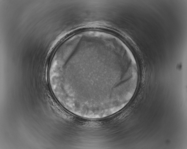 X0000115311224200911301528