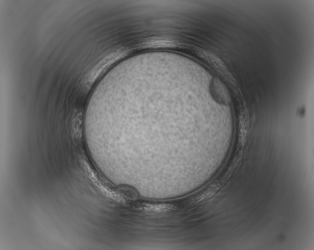 X0000115311225200911301528