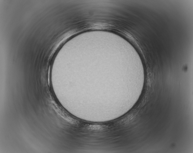 X0000115311227200911301528