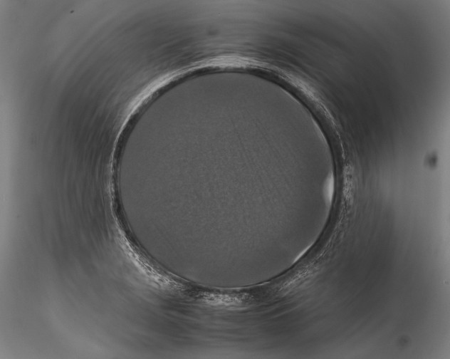 X0000115311229200911301528