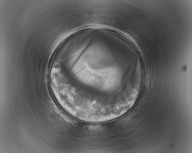 X0000115311231200911301528