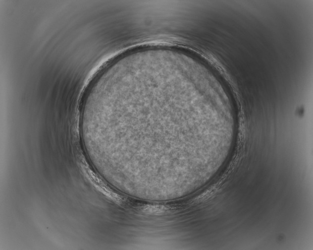 X0000115311232200911301528