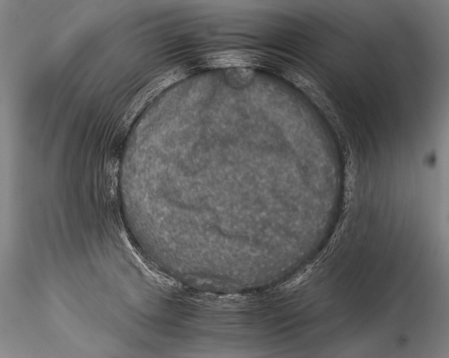 X0000115311233200911301528