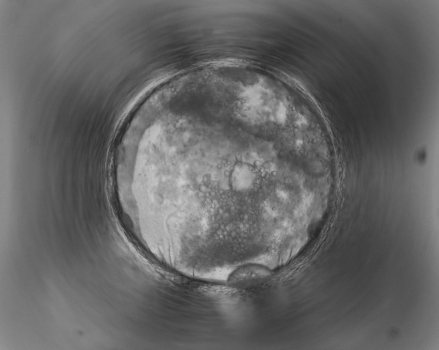 X0000115311235200911301528