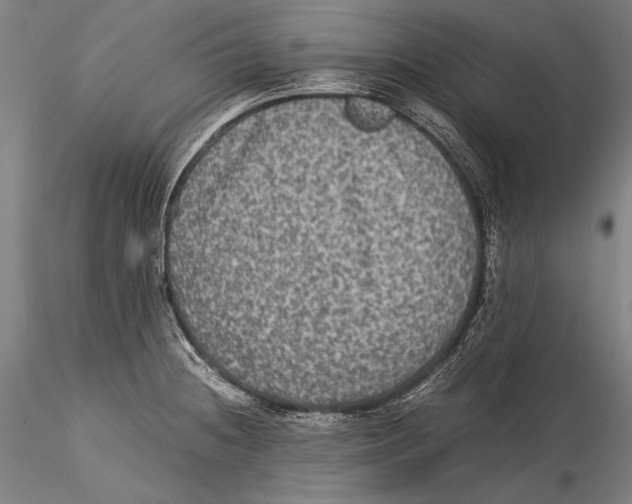 X0000115311236200911301528