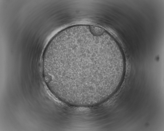 X0000115311238200911301528