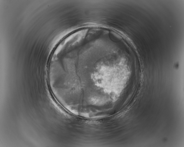 X0000115311239200911301528