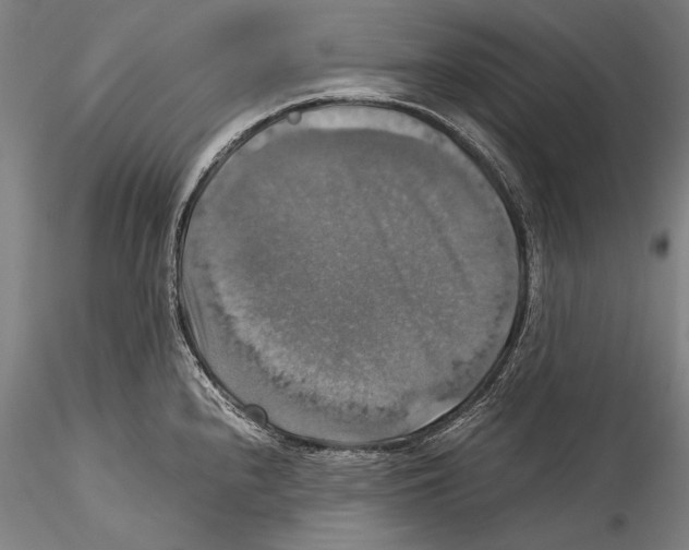 X0000115311240200911301528