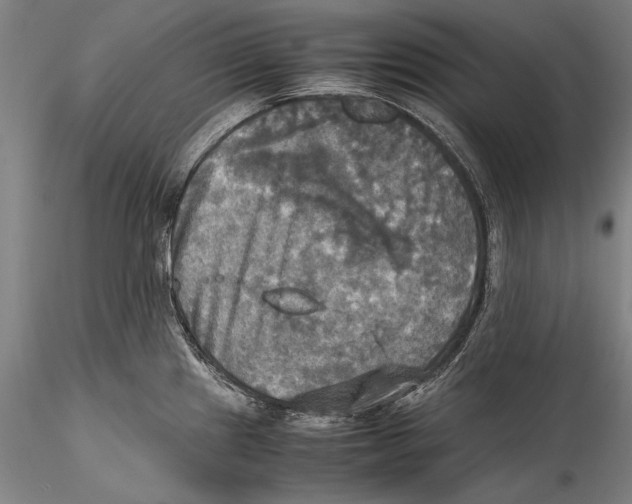 X0000115311241200911301528