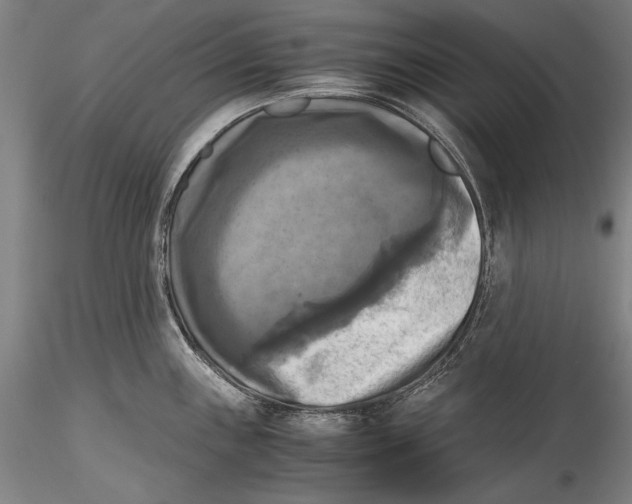 X0000115311243200911301528