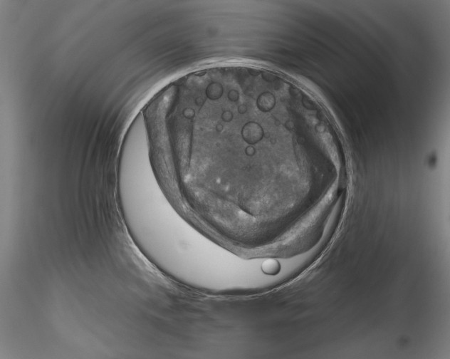 X0000115311244200911301528