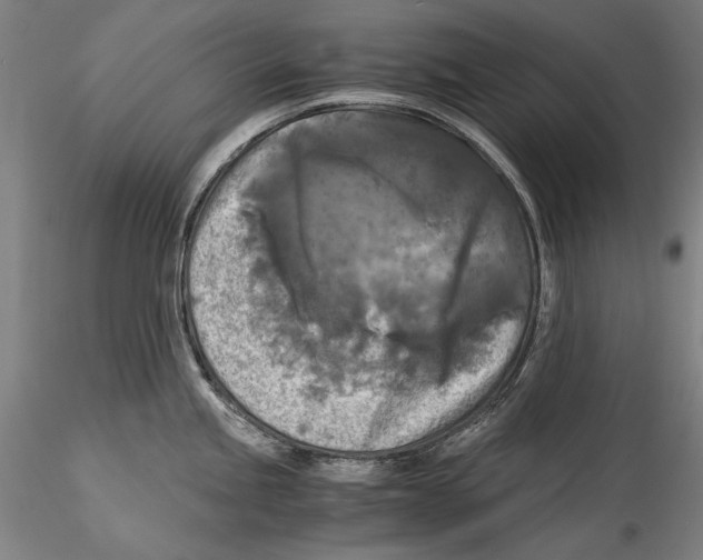 X0000115311245200911301528