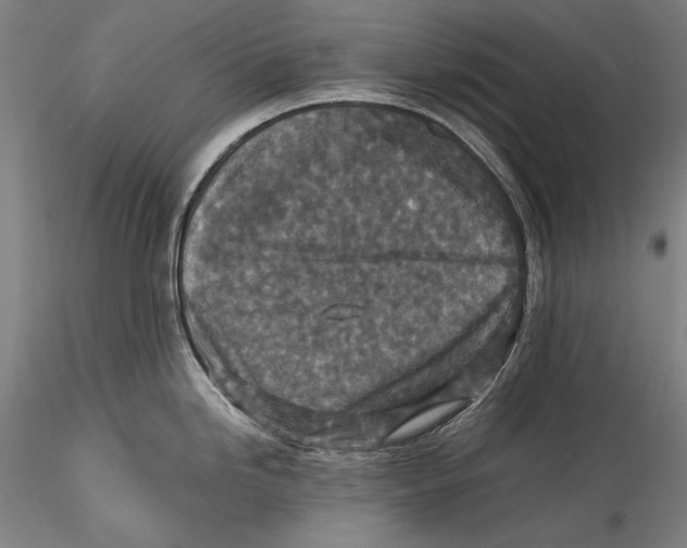 X0000115311246200911301528