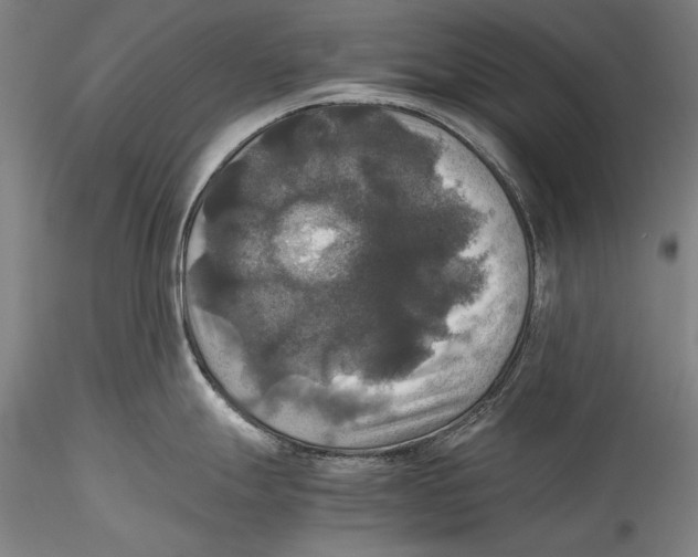 X0000115311247200911301528