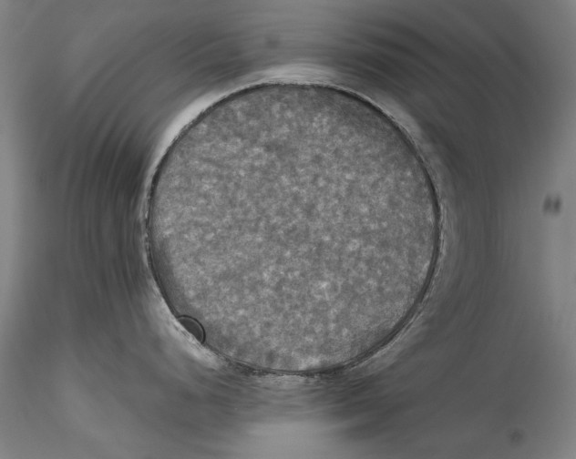 X0000115311248200911301528