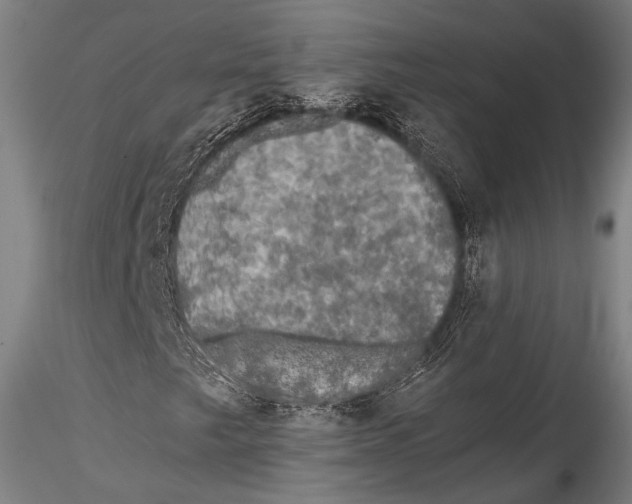 X0000115311249200911301527