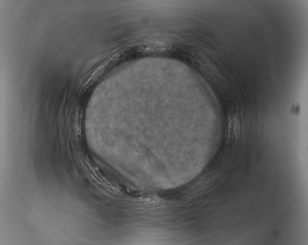 X0000115311250200911301527