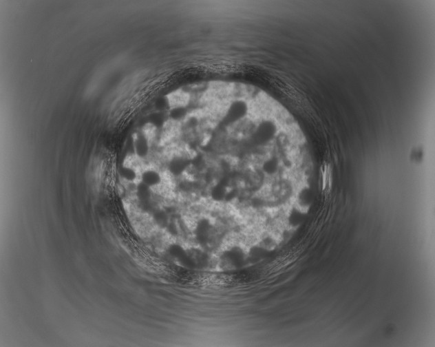 X0000115311251200911301527