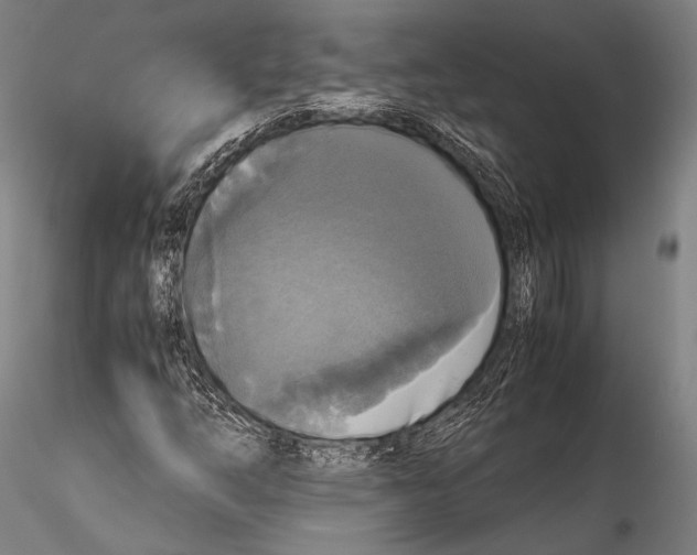 X0000115311254200911301527