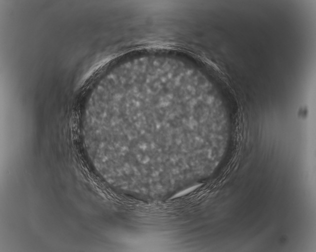 X0000115311255200911301527