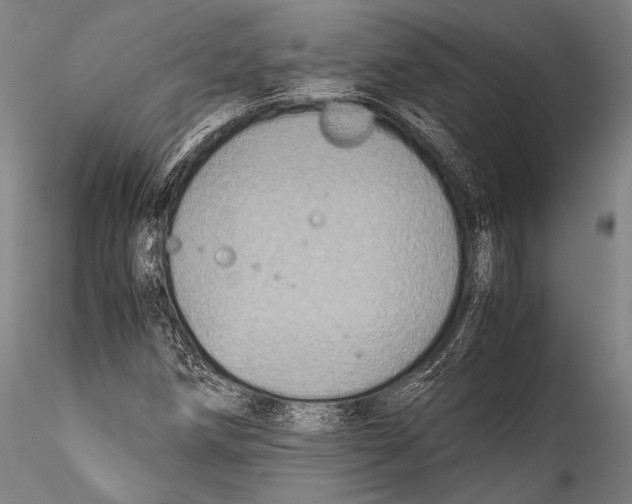 X0000115311258200911301527