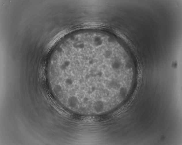 X0000115311259200911301527