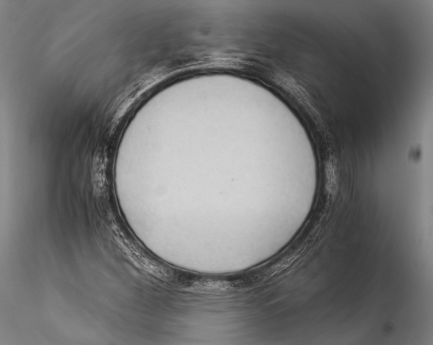 X0000115311260200911301527