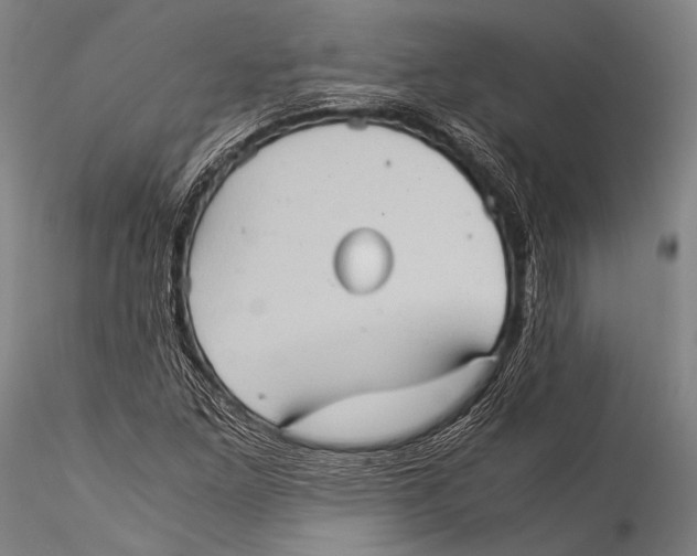 X0000115311261200911301527