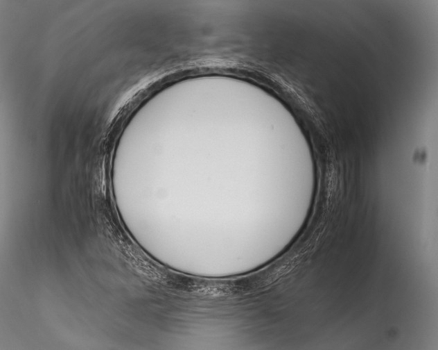 X0000115311262200911301527