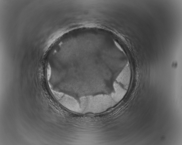 X0000115311263200911301527