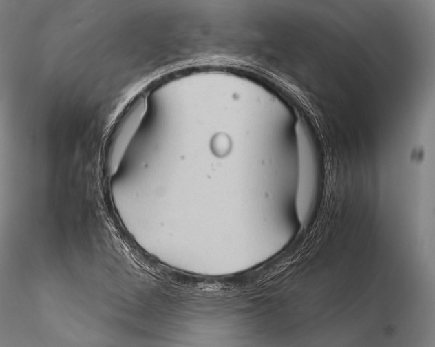 X0000115311264200911301527