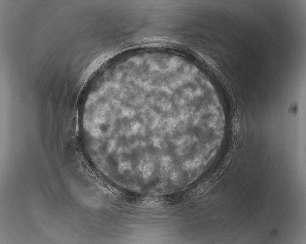 X0000115311267200911301527