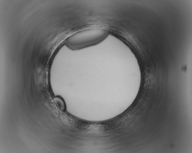 X0000115311268200911301527