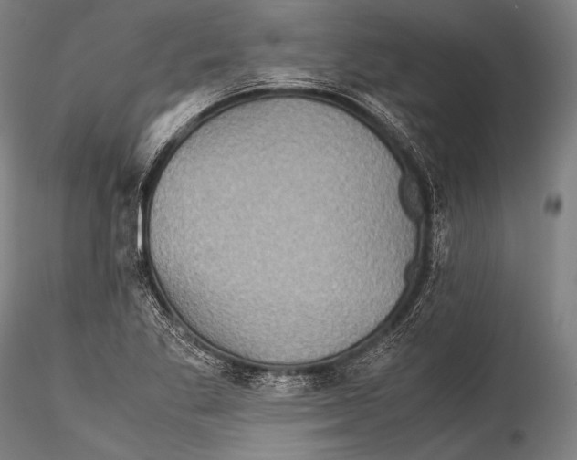 X0000115311269200911301527