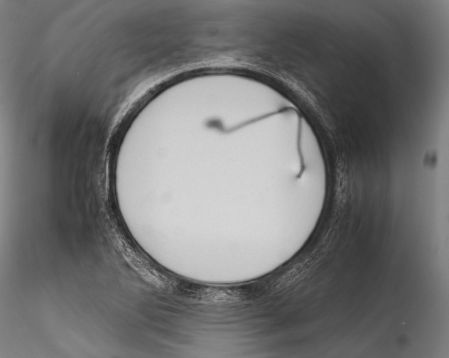 X0000115311270200911301527