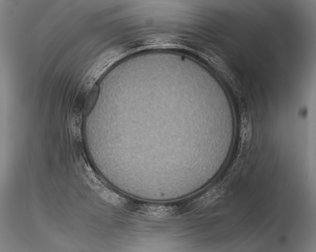 X0000115311273200911301527