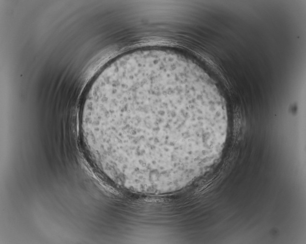 X0000115311274200911301527