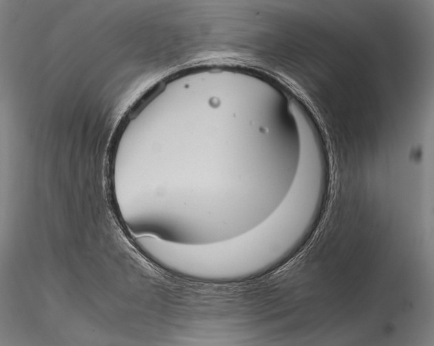 X0000115311277200911301527