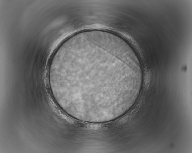 X0000115311278200911301527