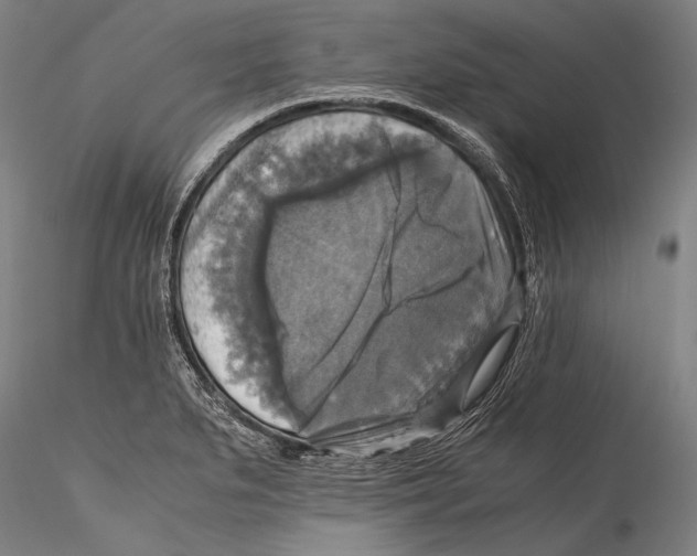 X0000115311279200911301527