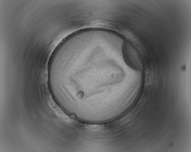 X0000115311280200911301527