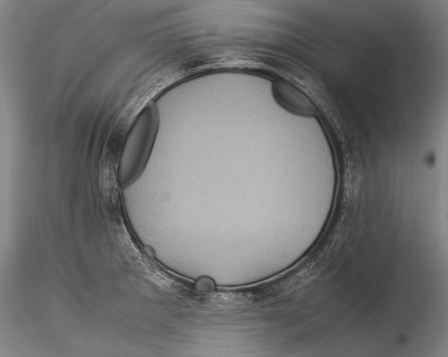 X0000115311281200911301527