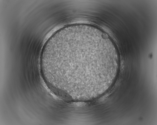 X0000115311282200911301527