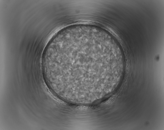 X0000115311283200911301527