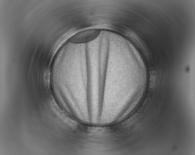 X0000115311284200911301527